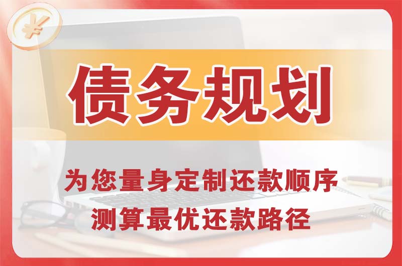 潞西债务规划